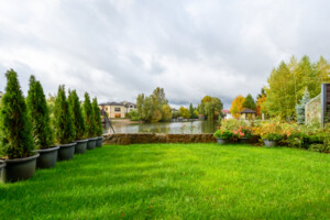 Куплю дом без посредников