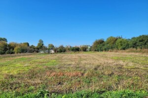 Продажа земли коммерческого назначения, Тернопольская, Великая Березовица, Тернопольская улица