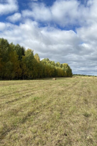 Продажа земли сельскохозяйственного назначения, Винницкая, Юзвин