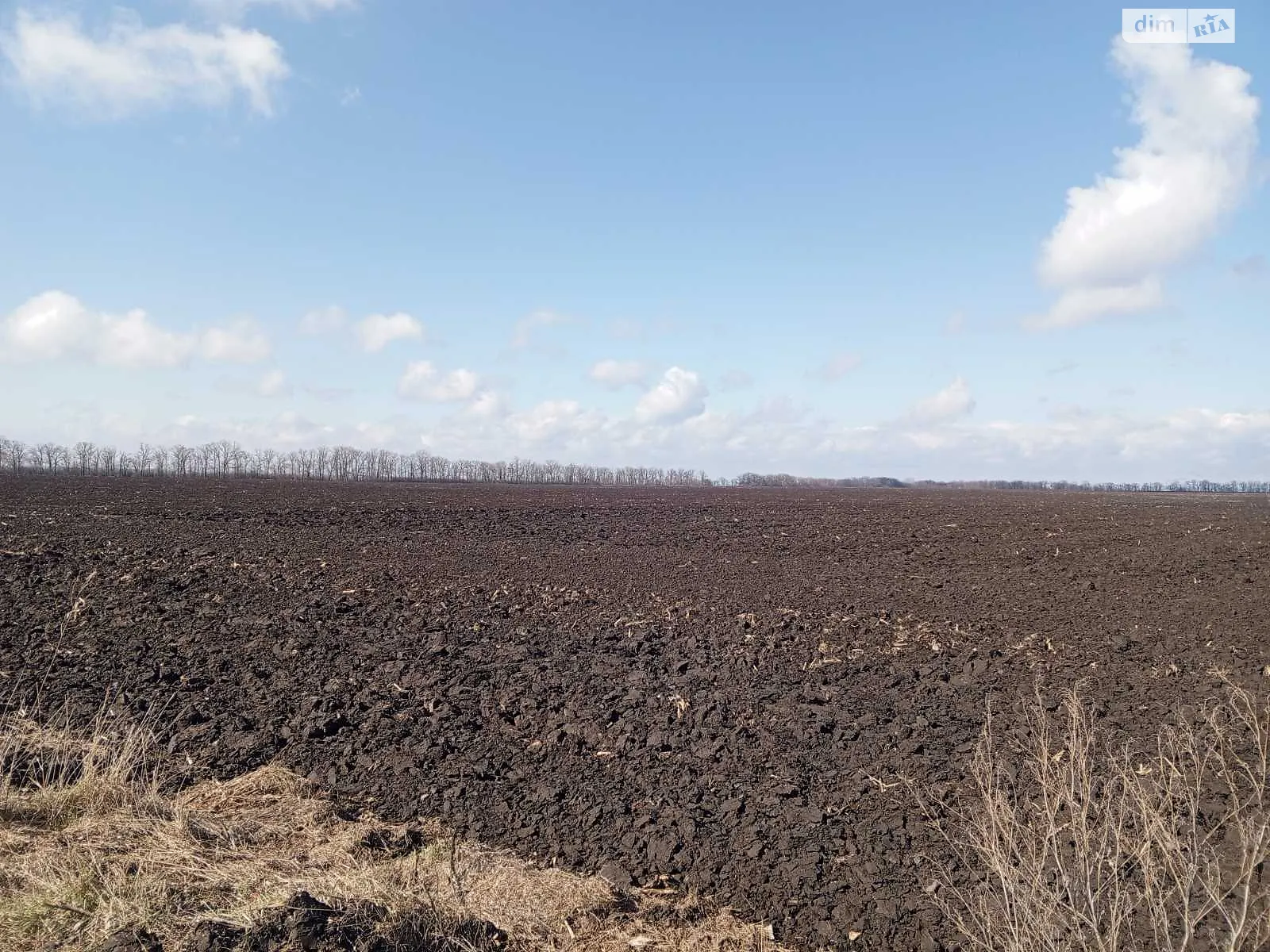 Продается земельный участок 2.38 соток в Черкасской области, цена: 10000 $ - фото 1