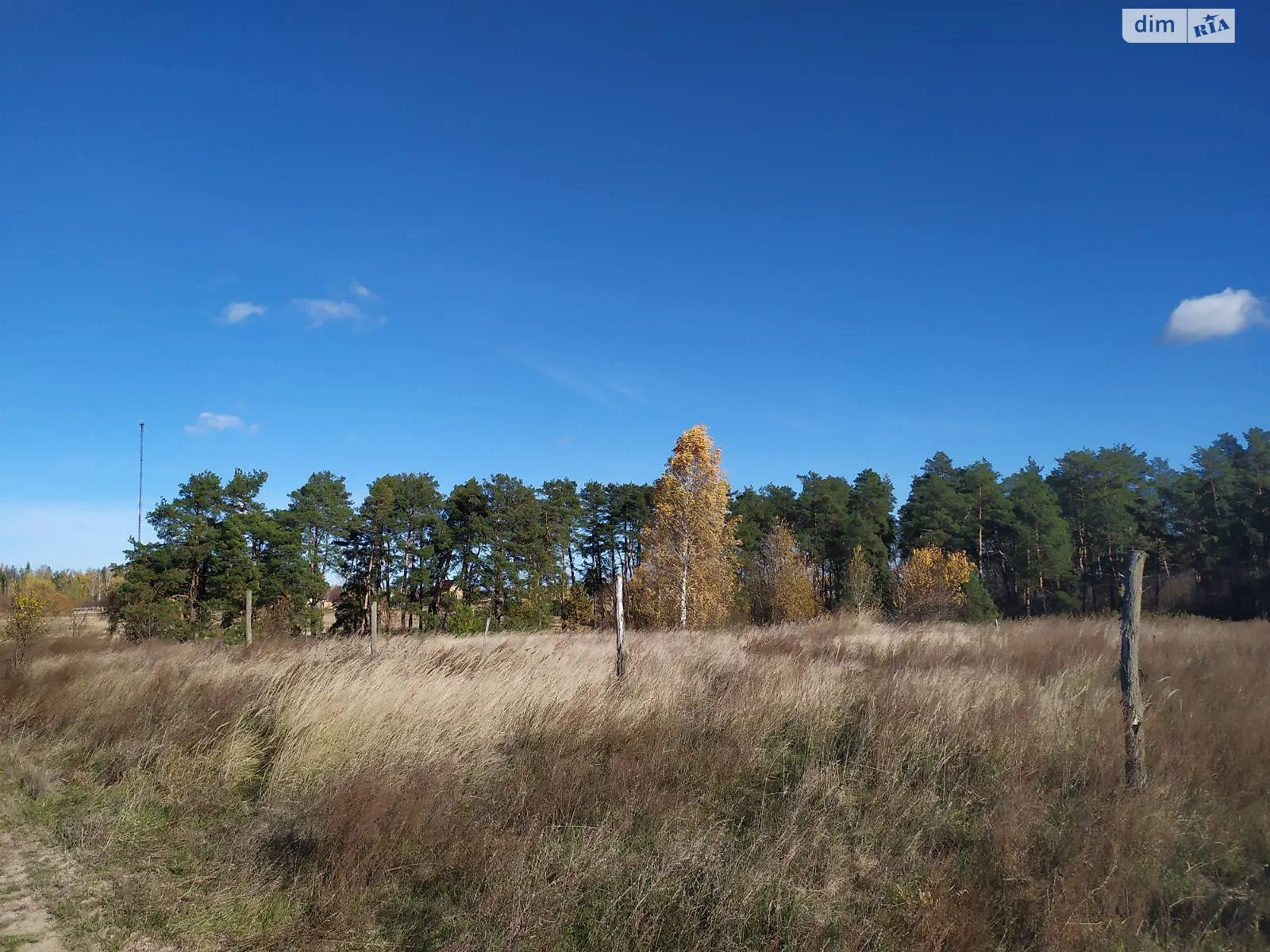 ул. Садовая Дымер, цена: 150000 грн - фото 1