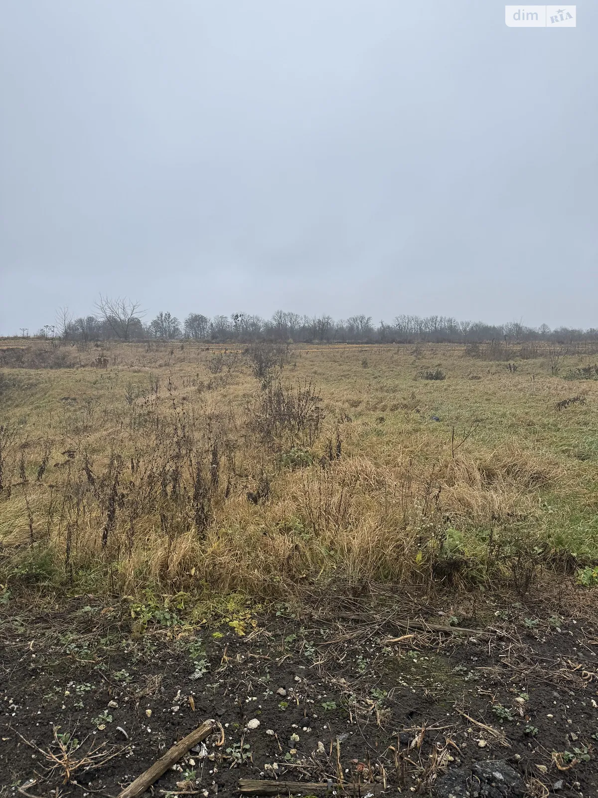Продается земельный участок 10 соток в Хмельницкой области, цена: 28000 $ - фото 1