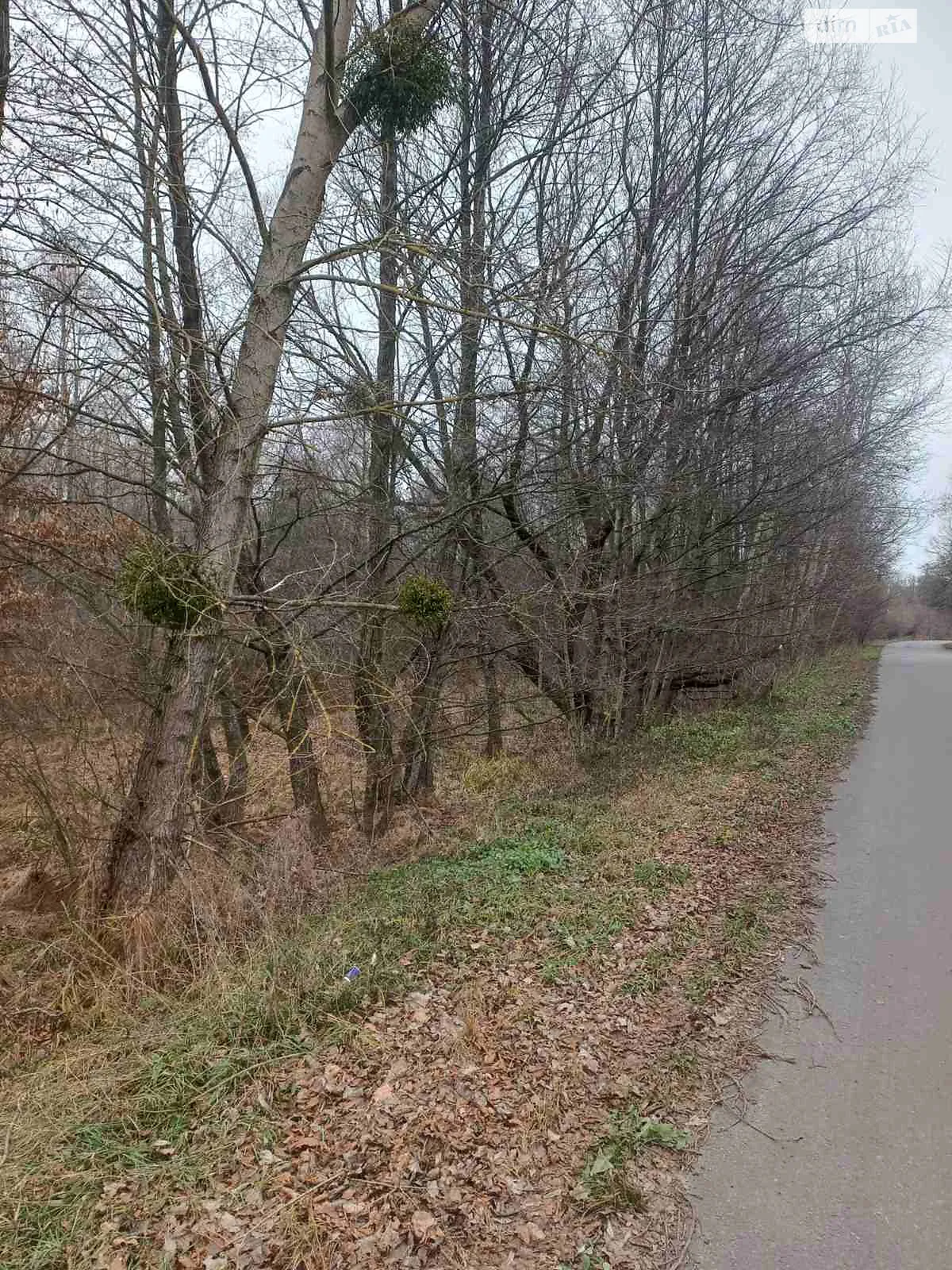 Продается земельный участок 1.0675 соток в Львовской области, цена: 35000 $ - фото 1