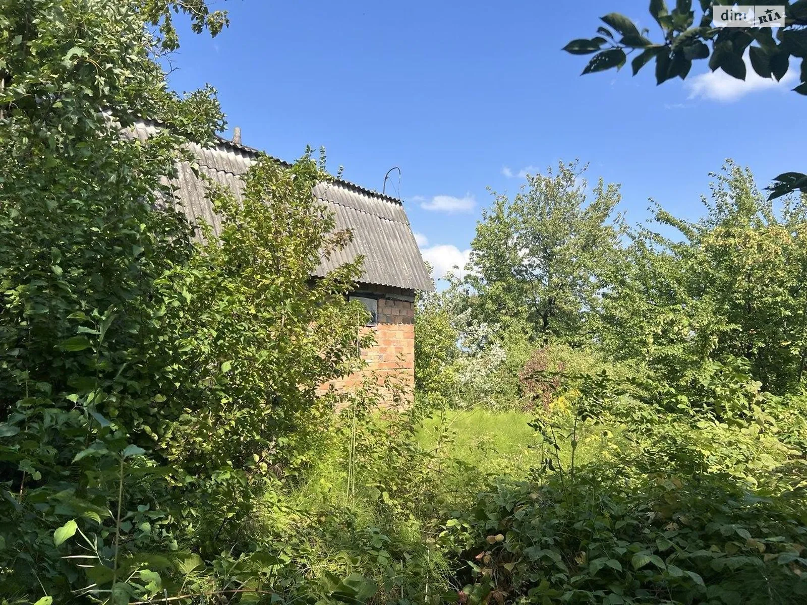 Продается земельный участок 4 соток в Черновицкой области, цена: 6000 $ - фото 1