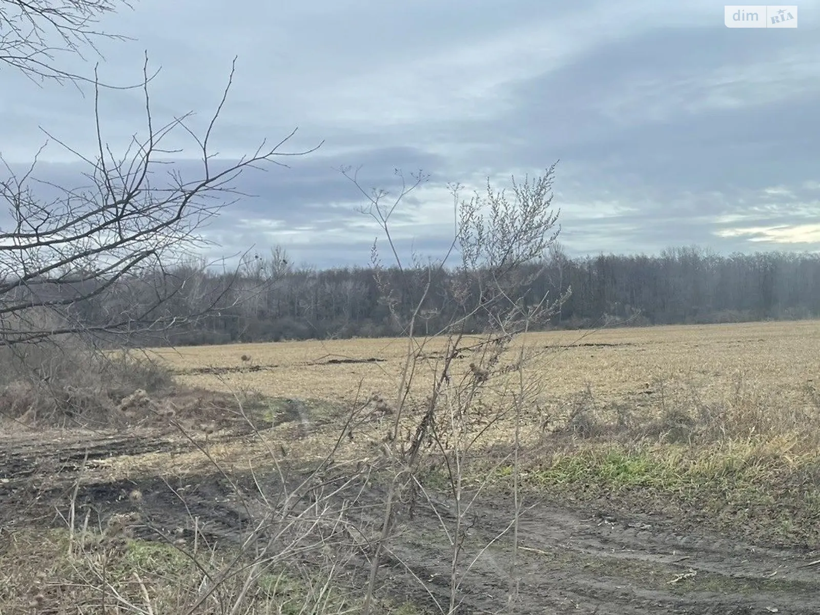 Сдается в аренду земельный участок 13.346 соток в Львовской области, цена: 38287 грн - фото 1