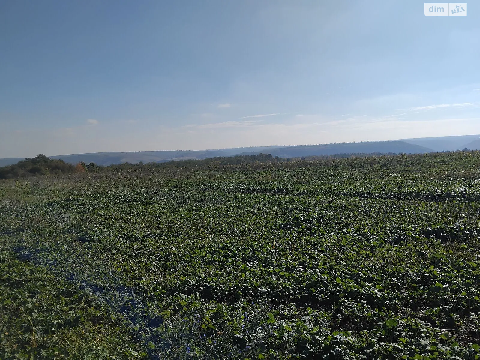 Сдается в аренду земельный участок 8.202 соток в Хмельницкой области, цена: 24530 грн - фото 1