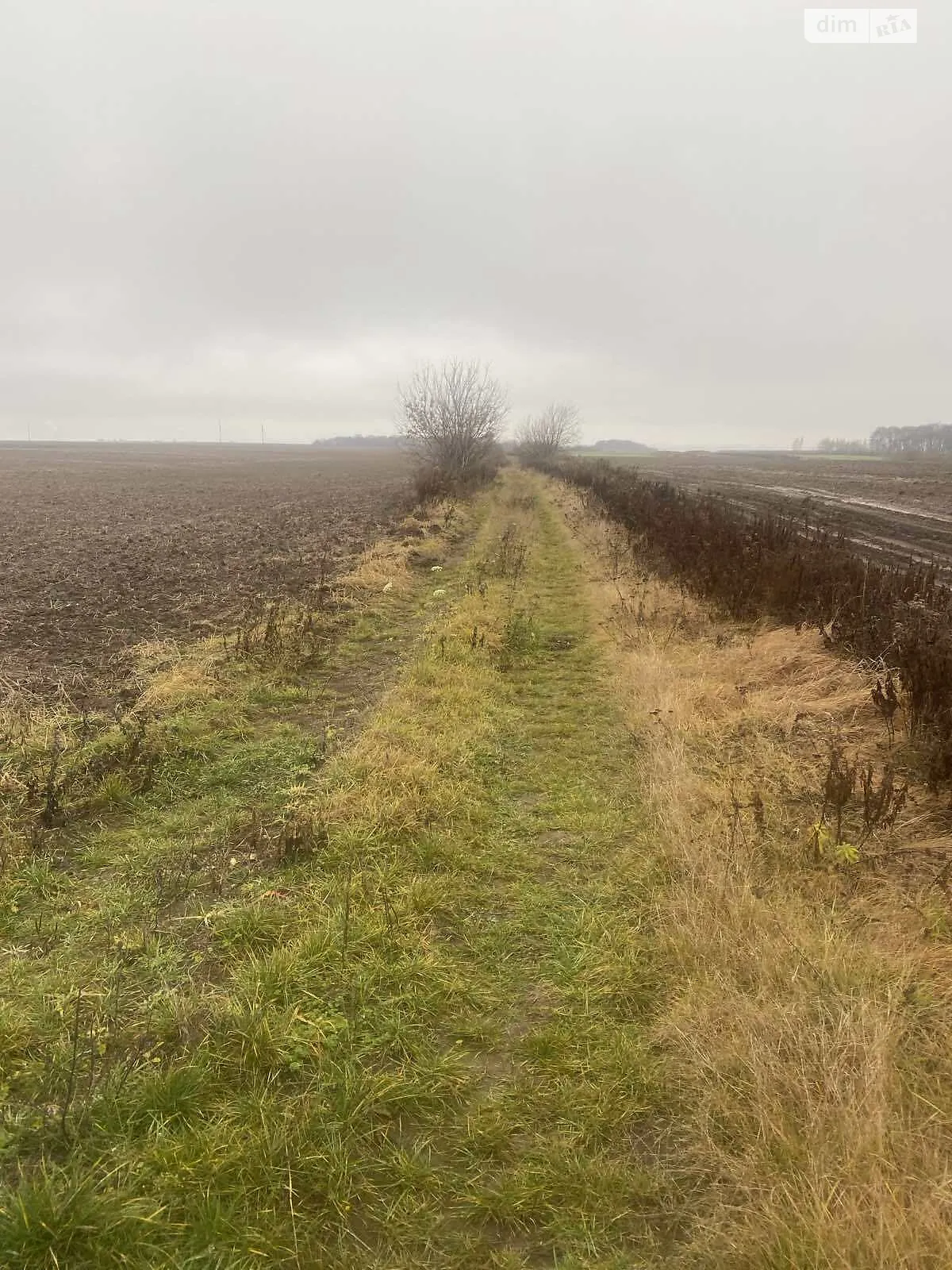 Колоденка, цена: 14800 $ - фото 1