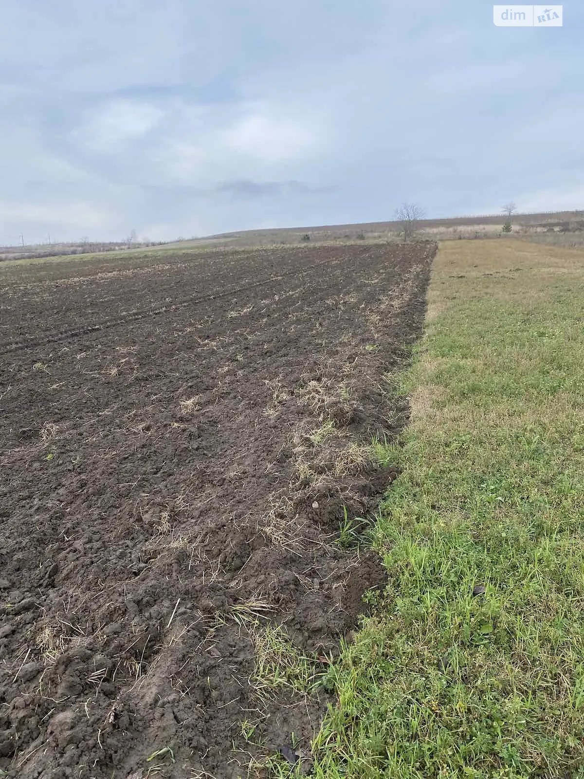 Продается земельный участок 30.4 соток в Ровенской области, цена: 18800 $ - фото 1