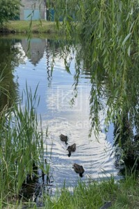 Купить землю под застройку в Киевской области