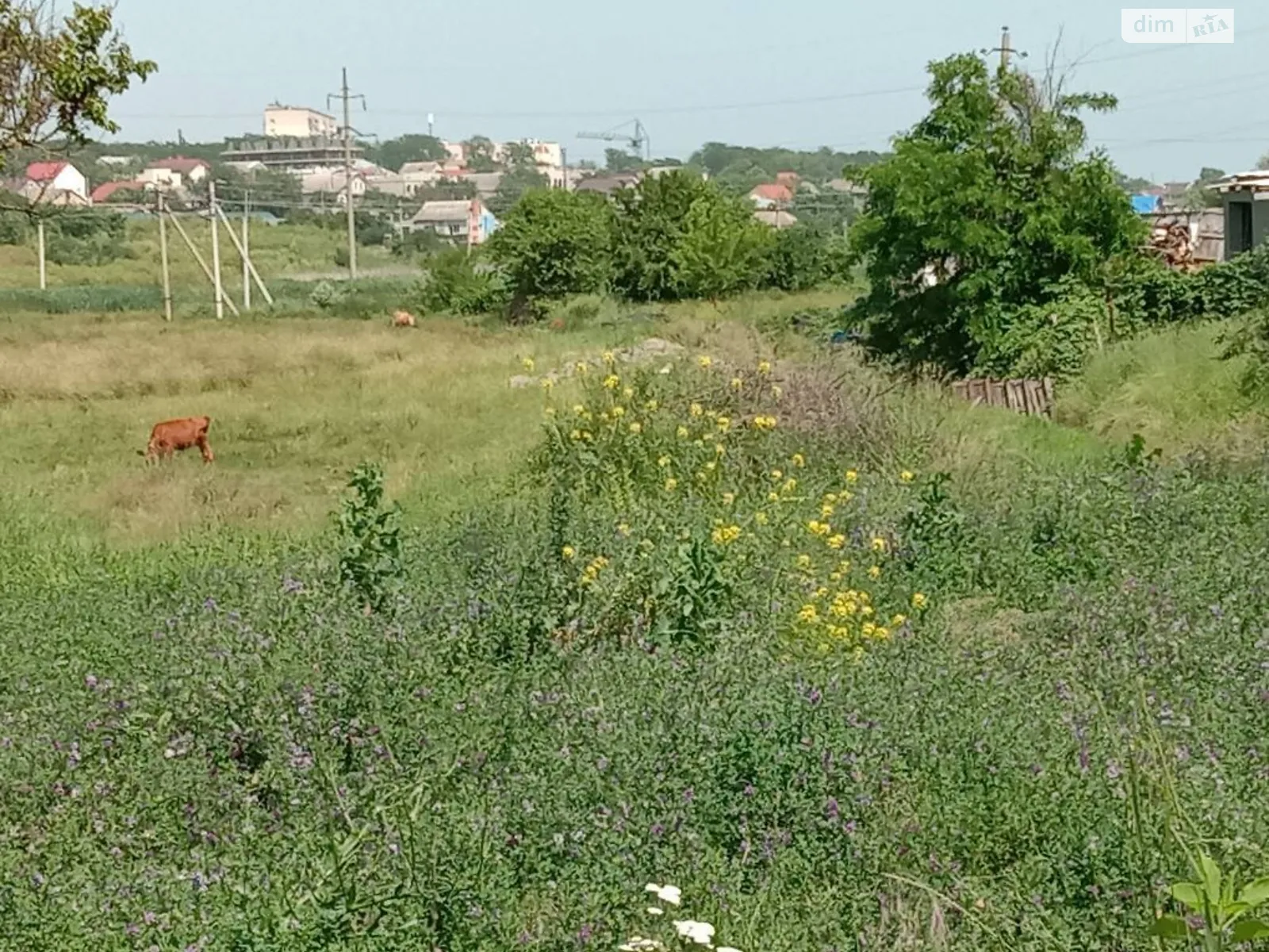 Продается земельный участок 25 соток в Одесской области, цена: 81250 $ - фото 1