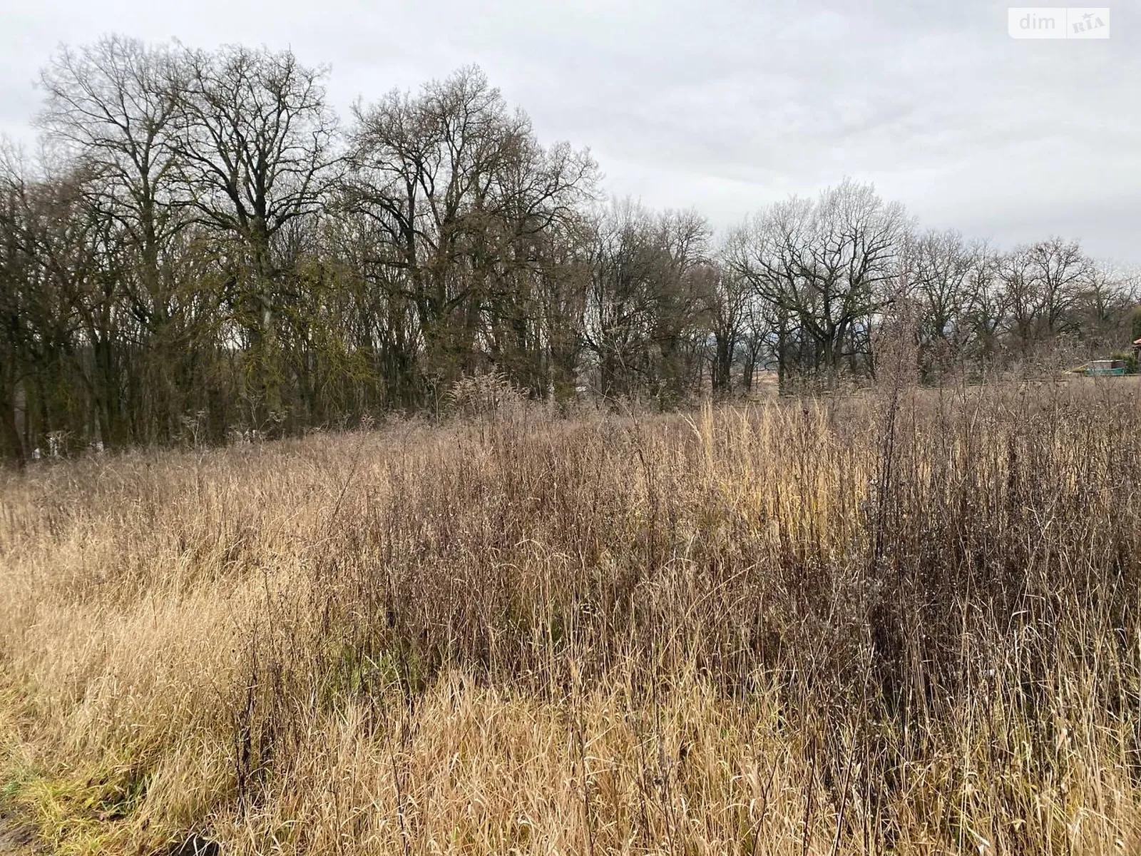 Продается земельный участок 11 соток в Тернопольской области, цена: 55000 $ - фото 1