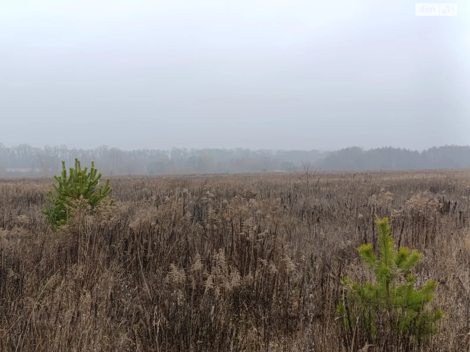 ул. Дружбы Березина, цена: 18500 $ - фото 1