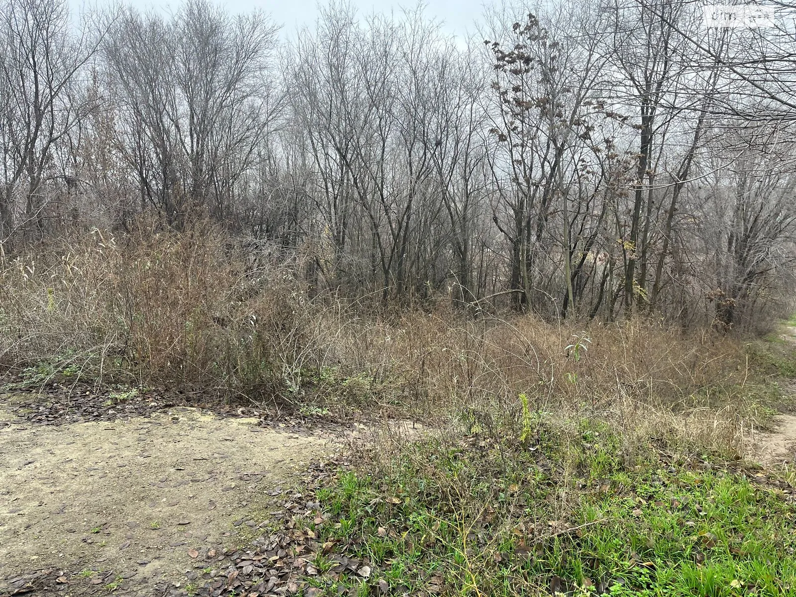 Сдается в аренду земельный участок 1.6161 соток в области, цена: 965980 грн - фото 1