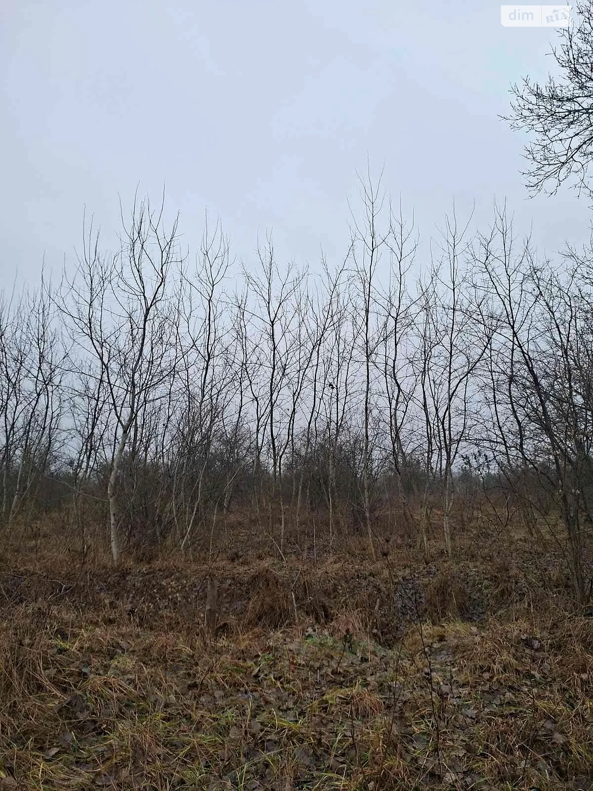 Сдается в аренду земельный участок 0.12 соток в Львовской области, цена: 7414 грн - фото 1