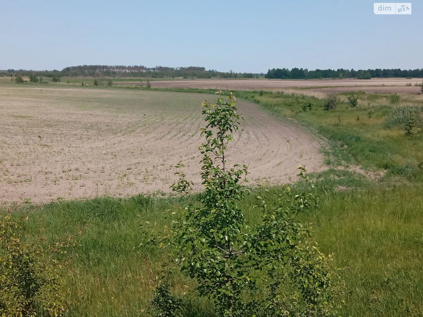 Моквин (Березно), цена: 4837 грн - фото 1