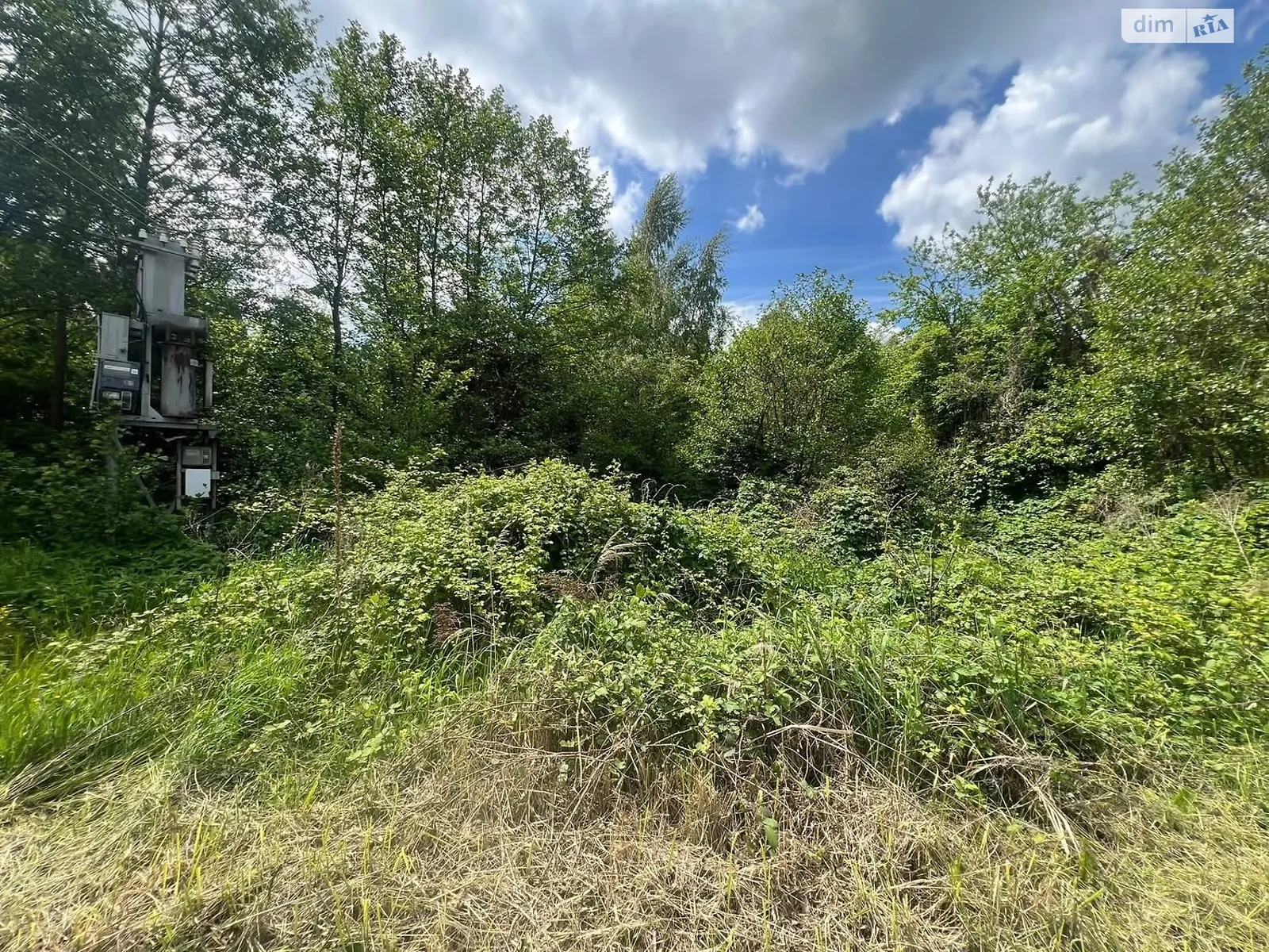 Продается земельный участок 10 соток в Закарпатской области, цена: 11500 $ - фото 1