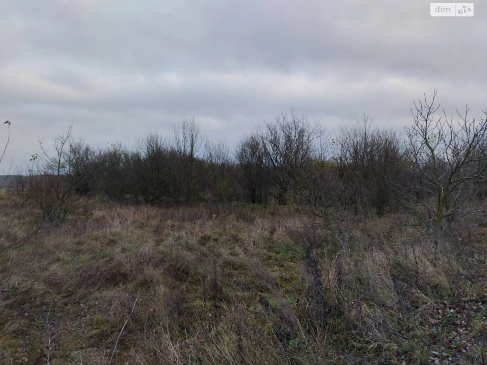 Сасановка, цена: 2910 грн - фото 1