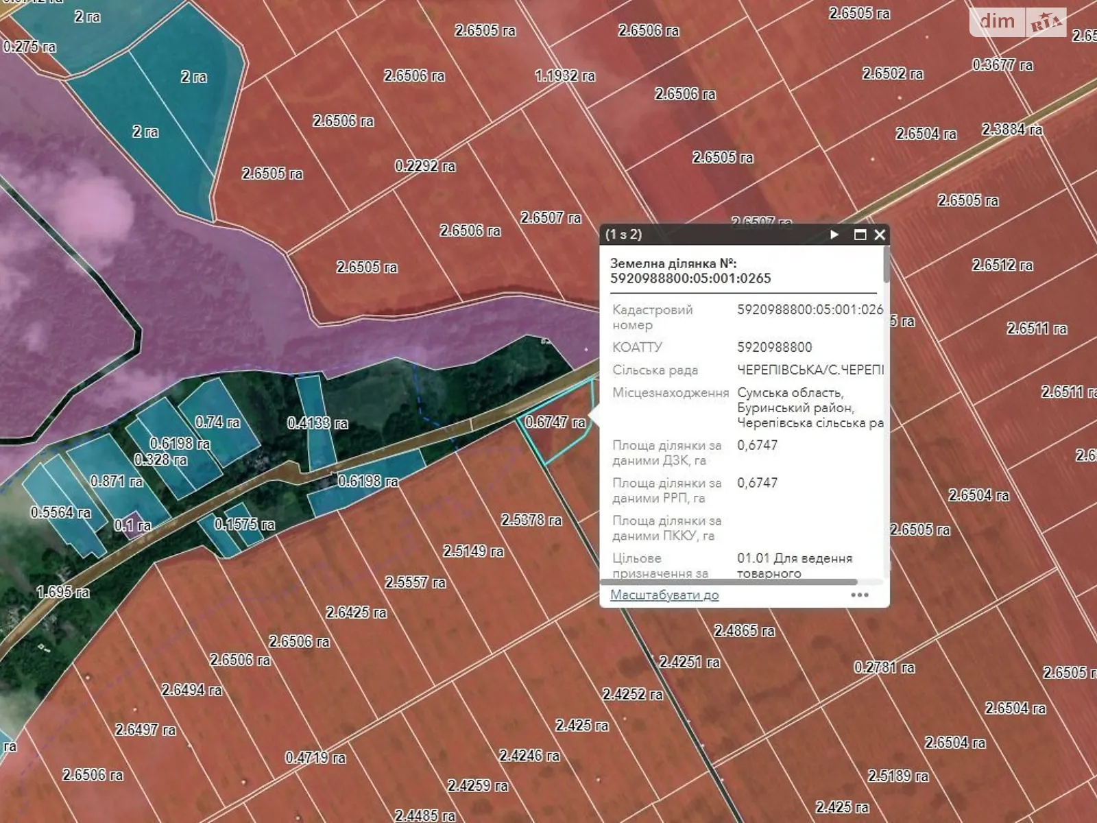 Бурынь, цена: 2798 грн - фото 1