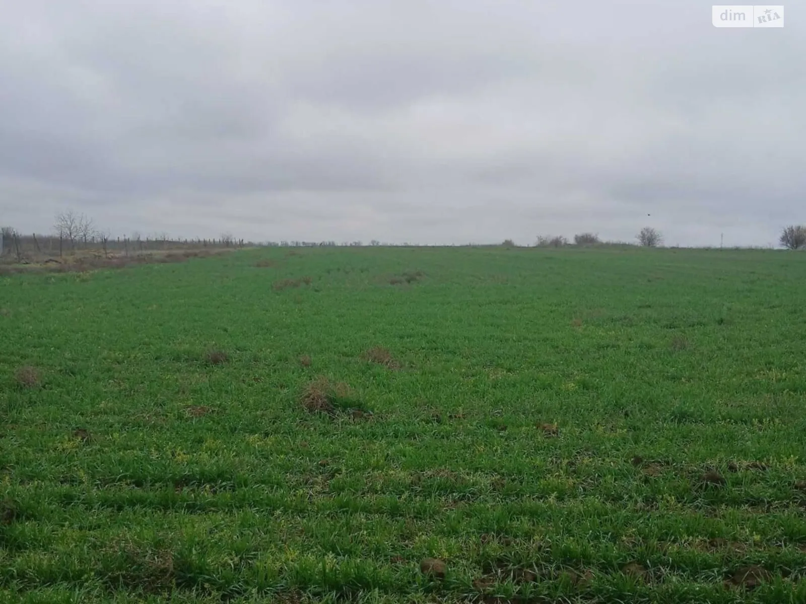 Беляевка, цена: 10466 грн - фото 1