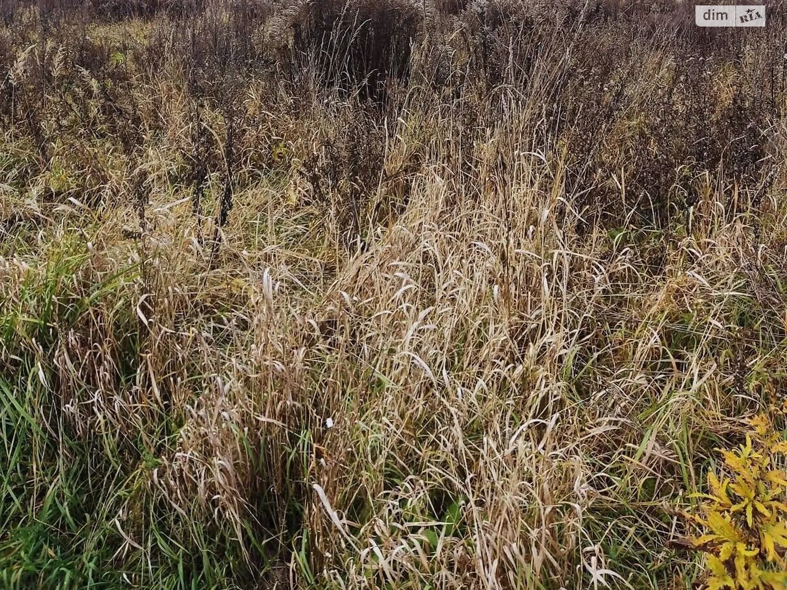 Побережье, цена: 21518 грн - фото 1