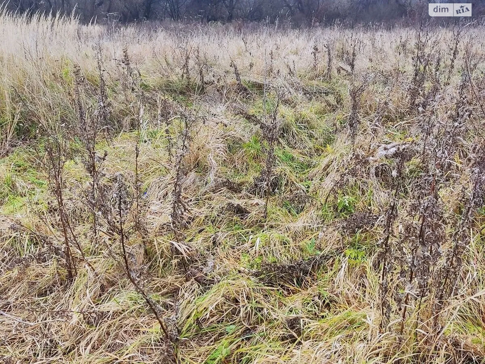 Побережье, цена: 26836 грн - фото 1