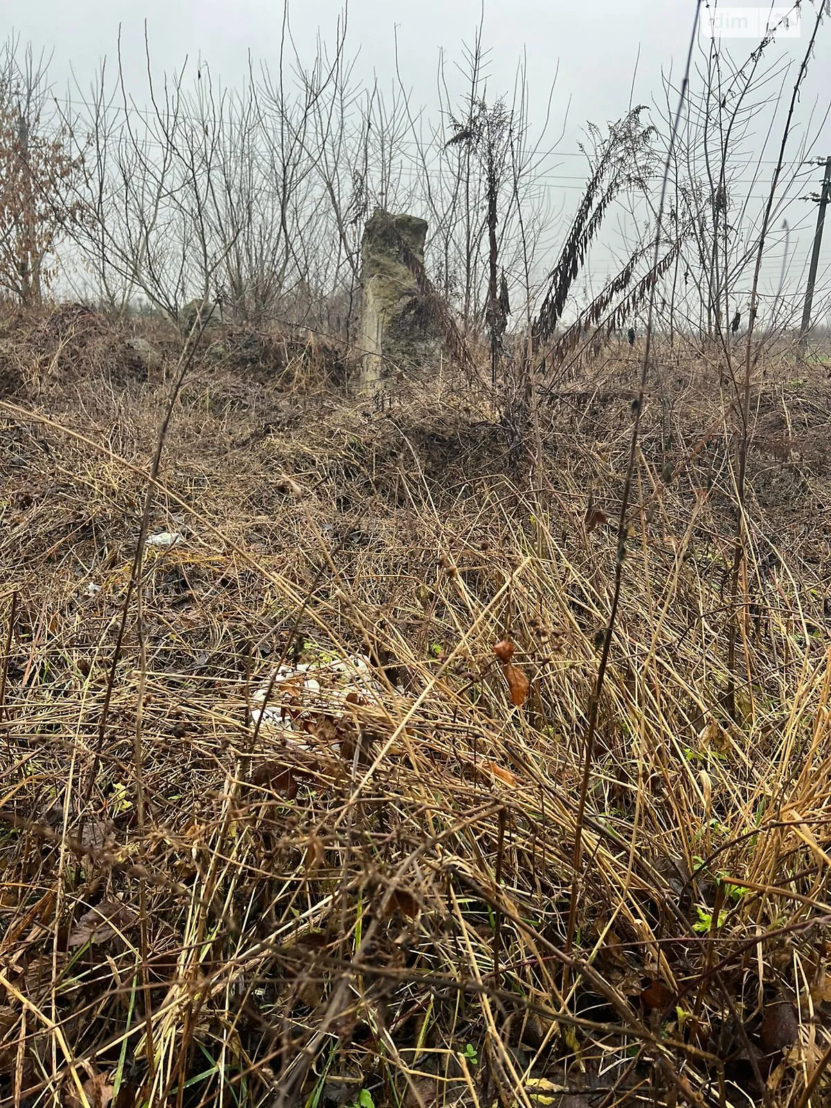 Сдается в аренду земельный участок 0.8239 соток в Львовской области, цена: 207787 грн - фото 1