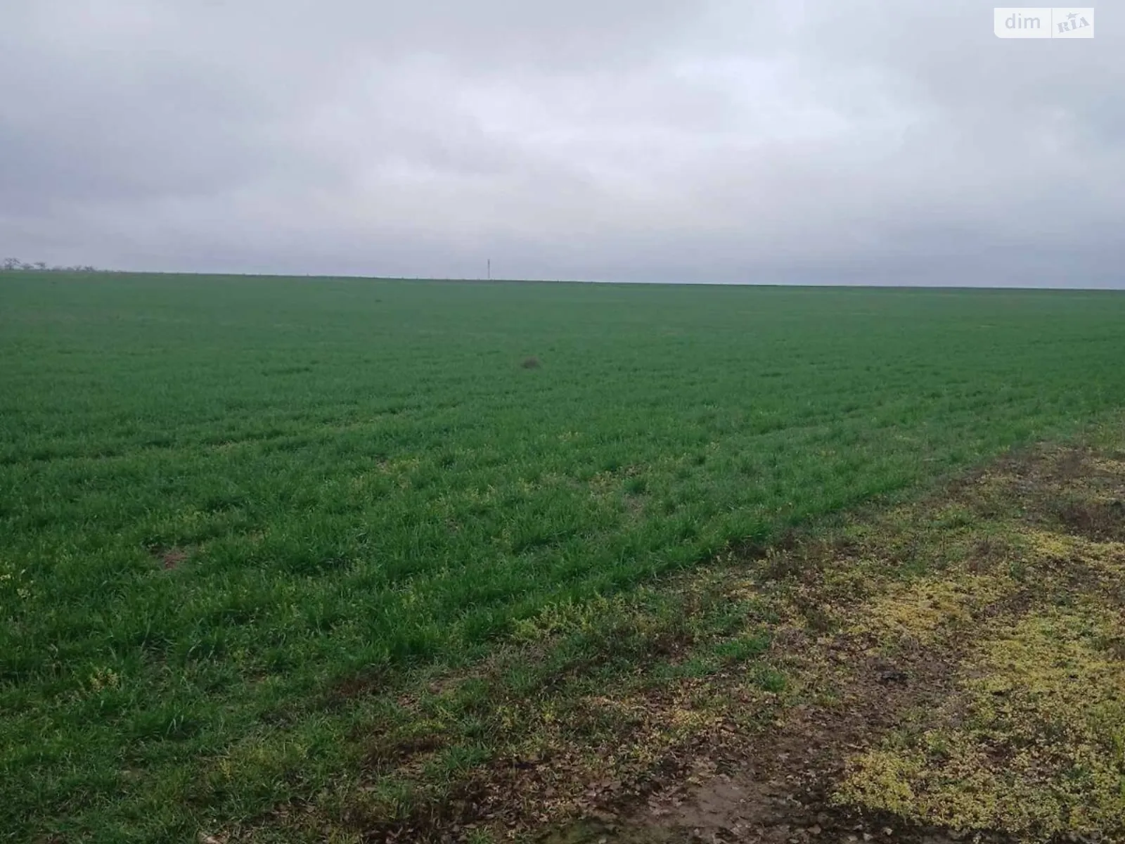 Беляевка, цена: 18614 грн - фото 1