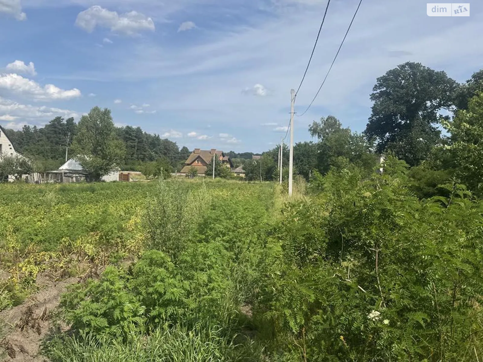 Продается земельный участок 30.94 соток в Киевской области, цена: 12100 $ - фото 1