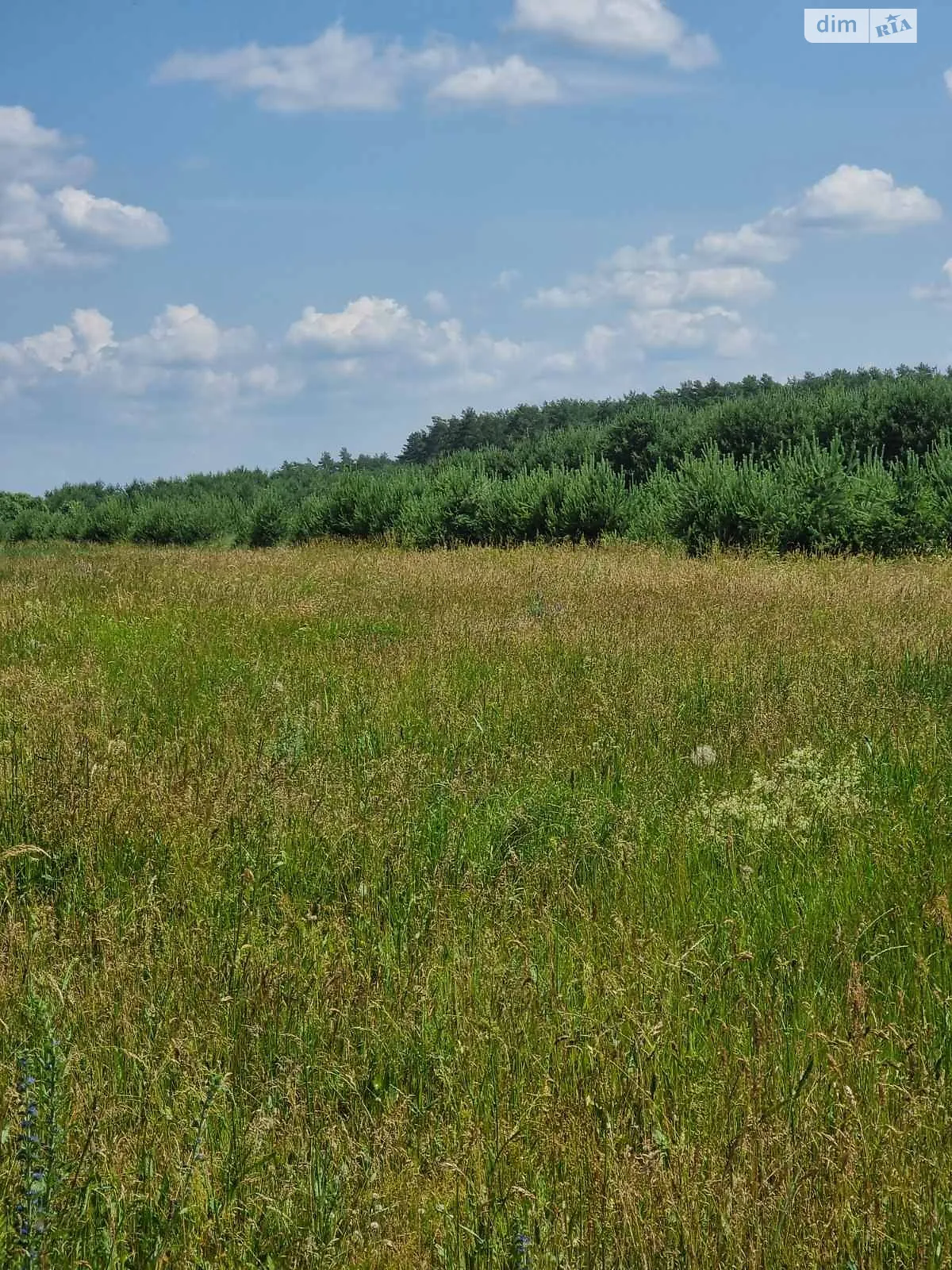 Сдается в аренду земельный участок 8.542 соток в Львовской области, цена: 36135 грн - фото 1