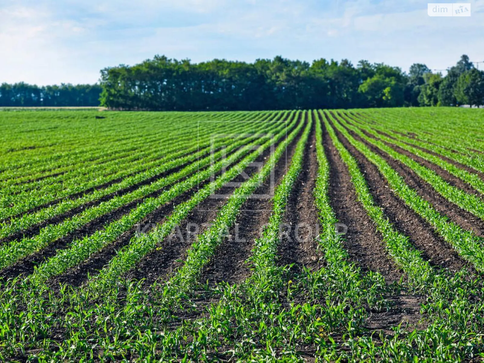 Андреевка (Макаров), цена: 13000 $ - фото 1