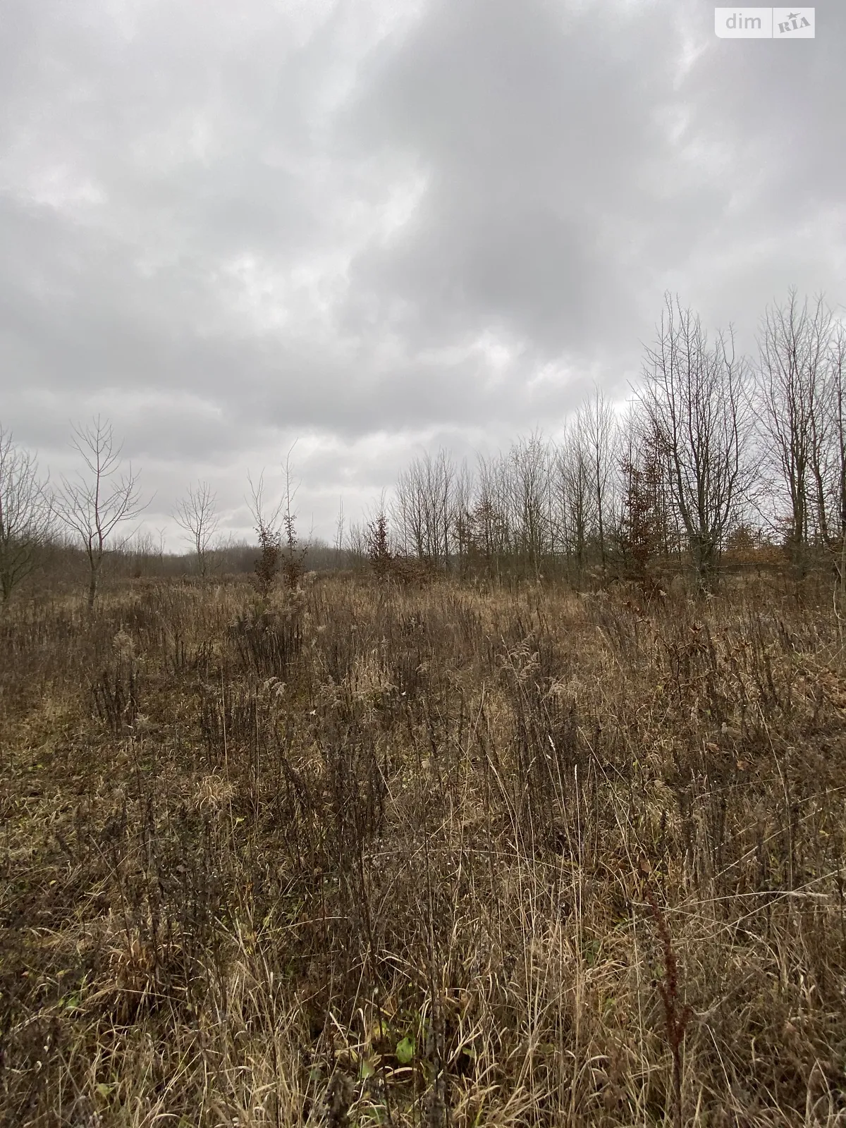 Продается земельный участок 12 соток в Винницкой области, цена: 10000 $ - фото 1