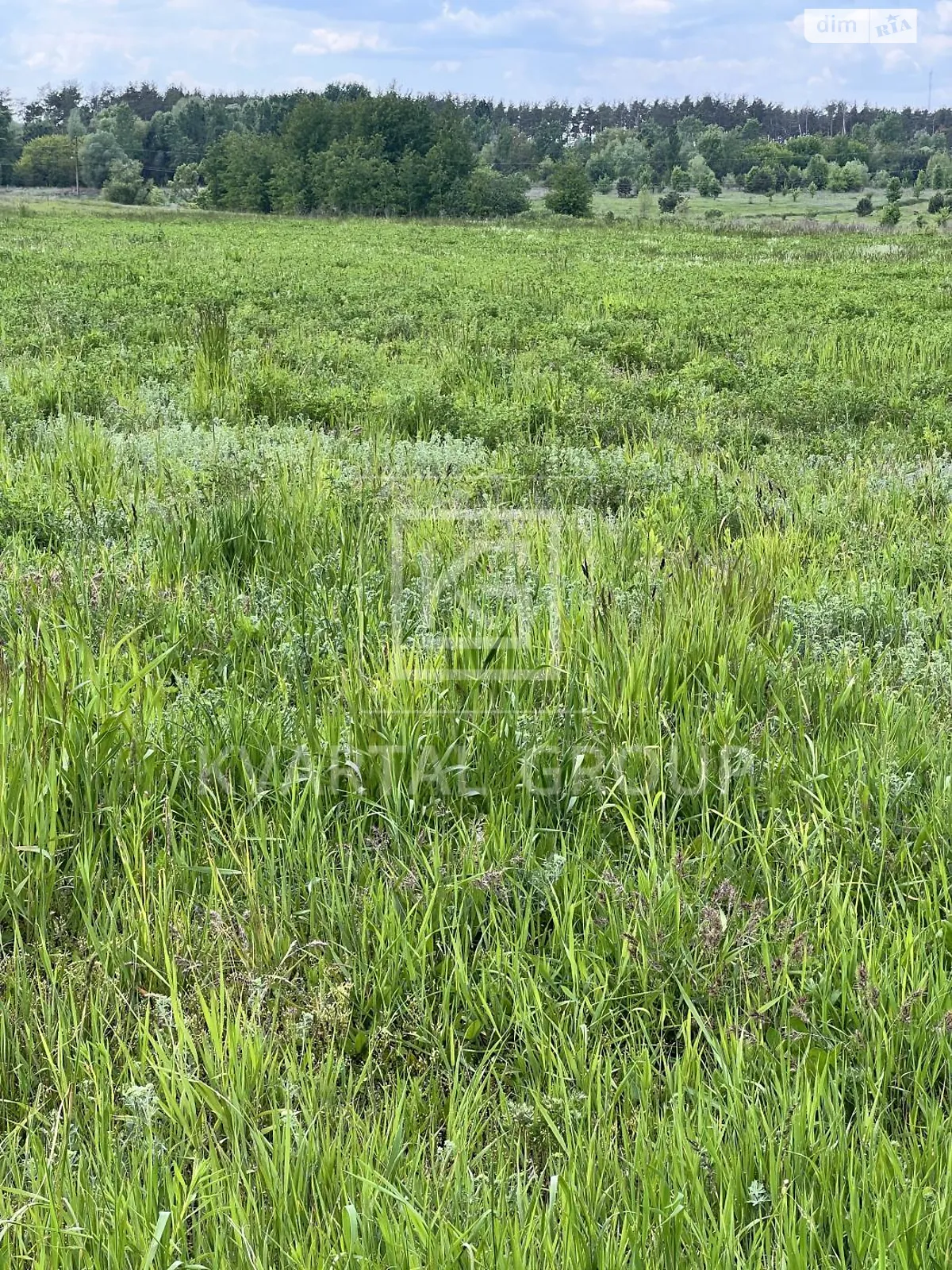 ул. Тараса Шевченко Бузовая, цена: 17000 $ - фото 1