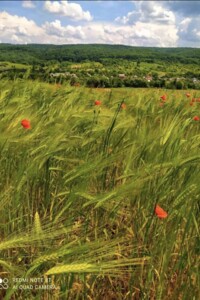 Продаж ділянки під житлову забудову, Закарпатська, Циганівці, Польова вулиця