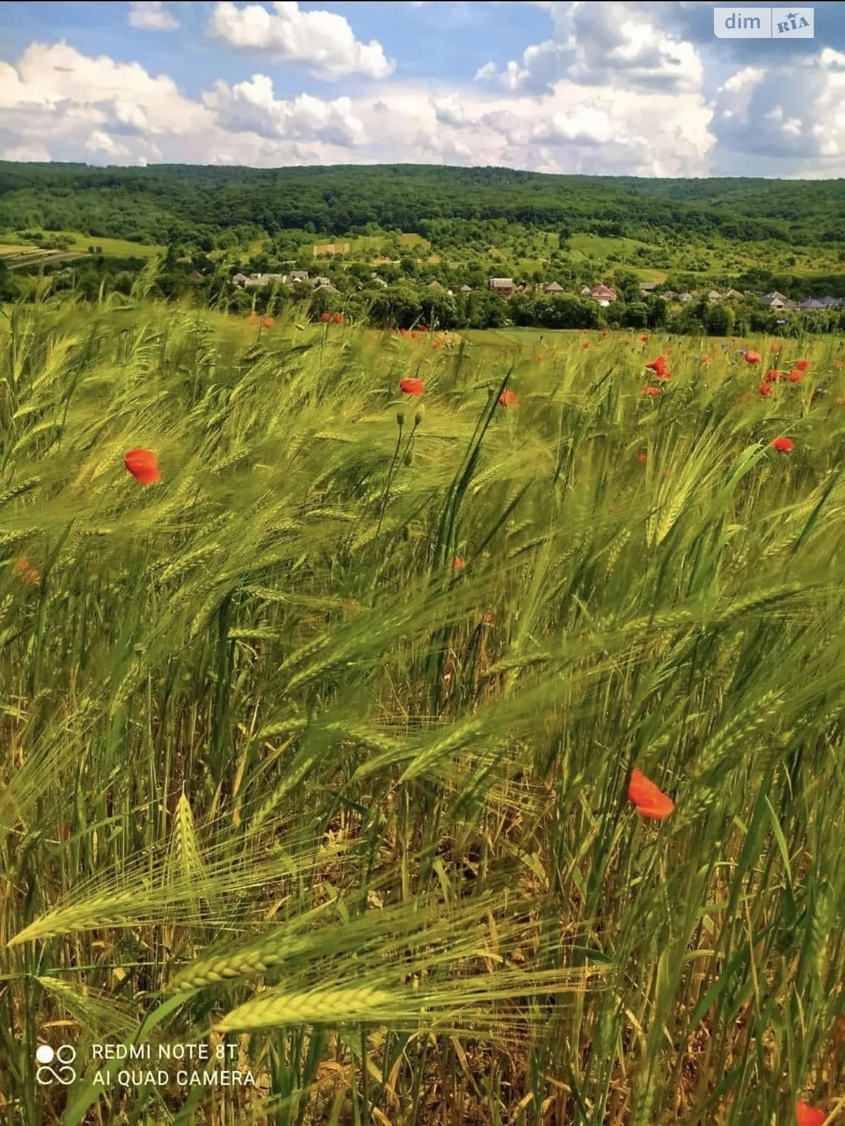 ул. Полевая Цыгановцы, цена: 18000 $ - фото 1