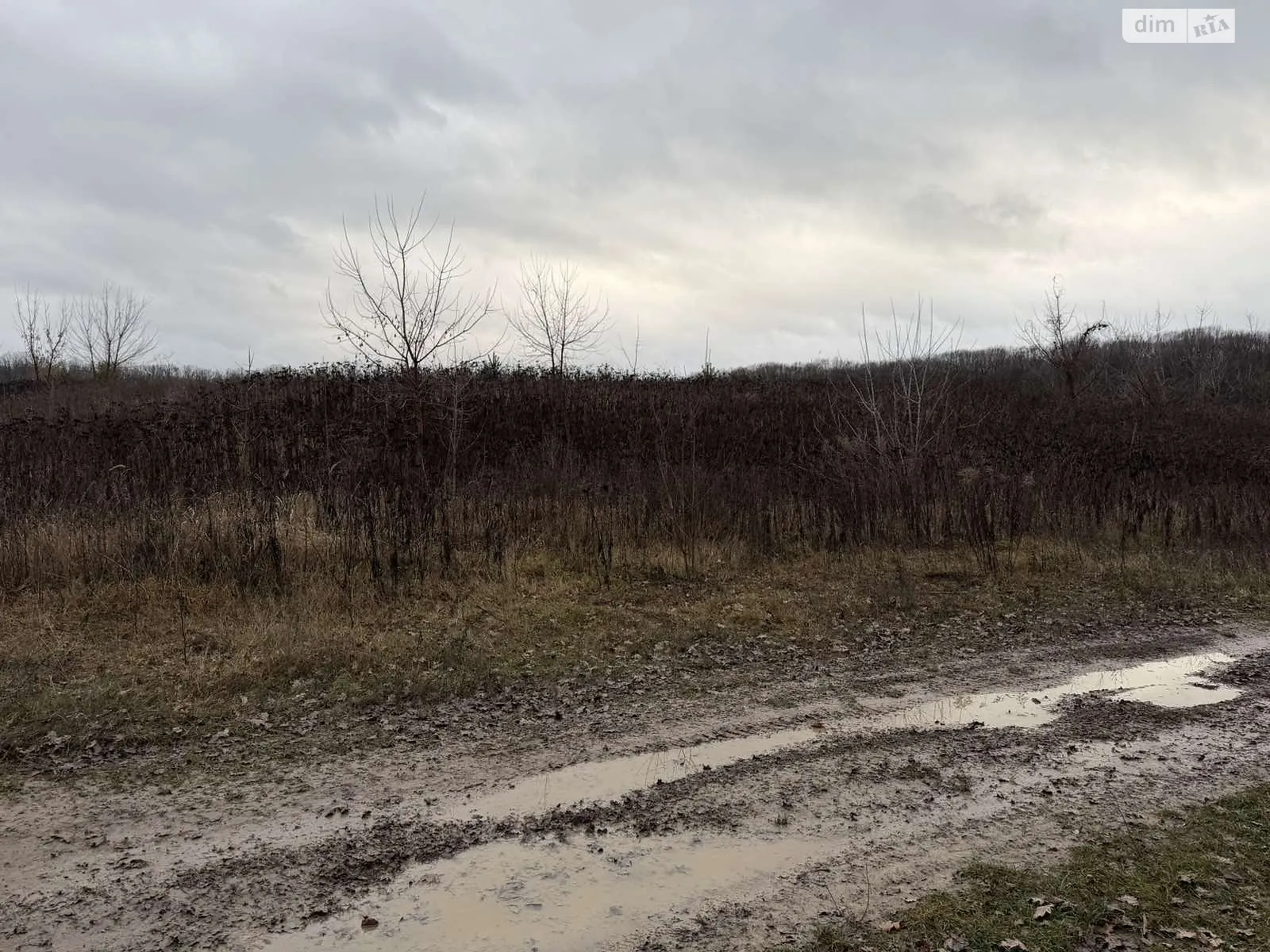Продается земельный участок 6 соток в Винницкой области, цена: 10700 $ - фото 1