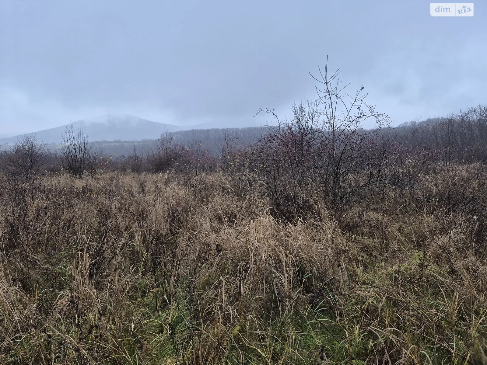 Продается земельный участок 0.1035 соток в Закарпатской области, цена: 5000 $ - фото 1