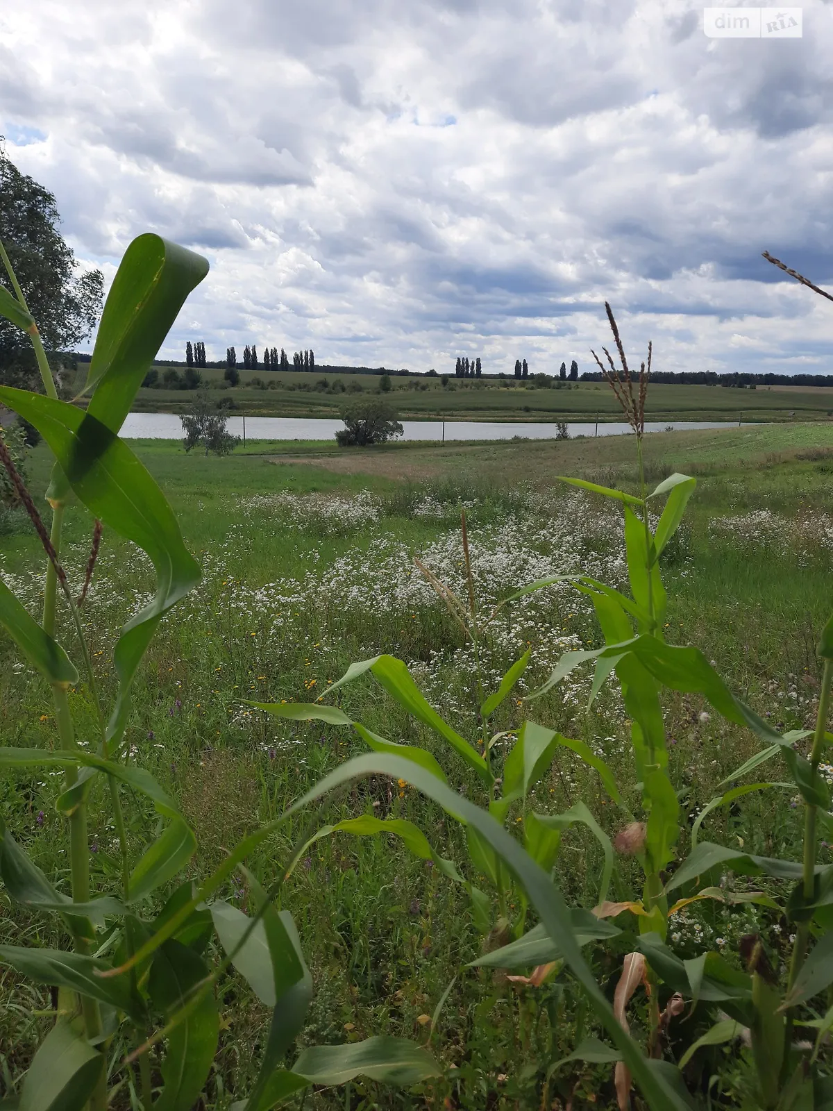 Продается земельный участок 25 соток в Винницкой области, цена: 7500 $ - фото 1