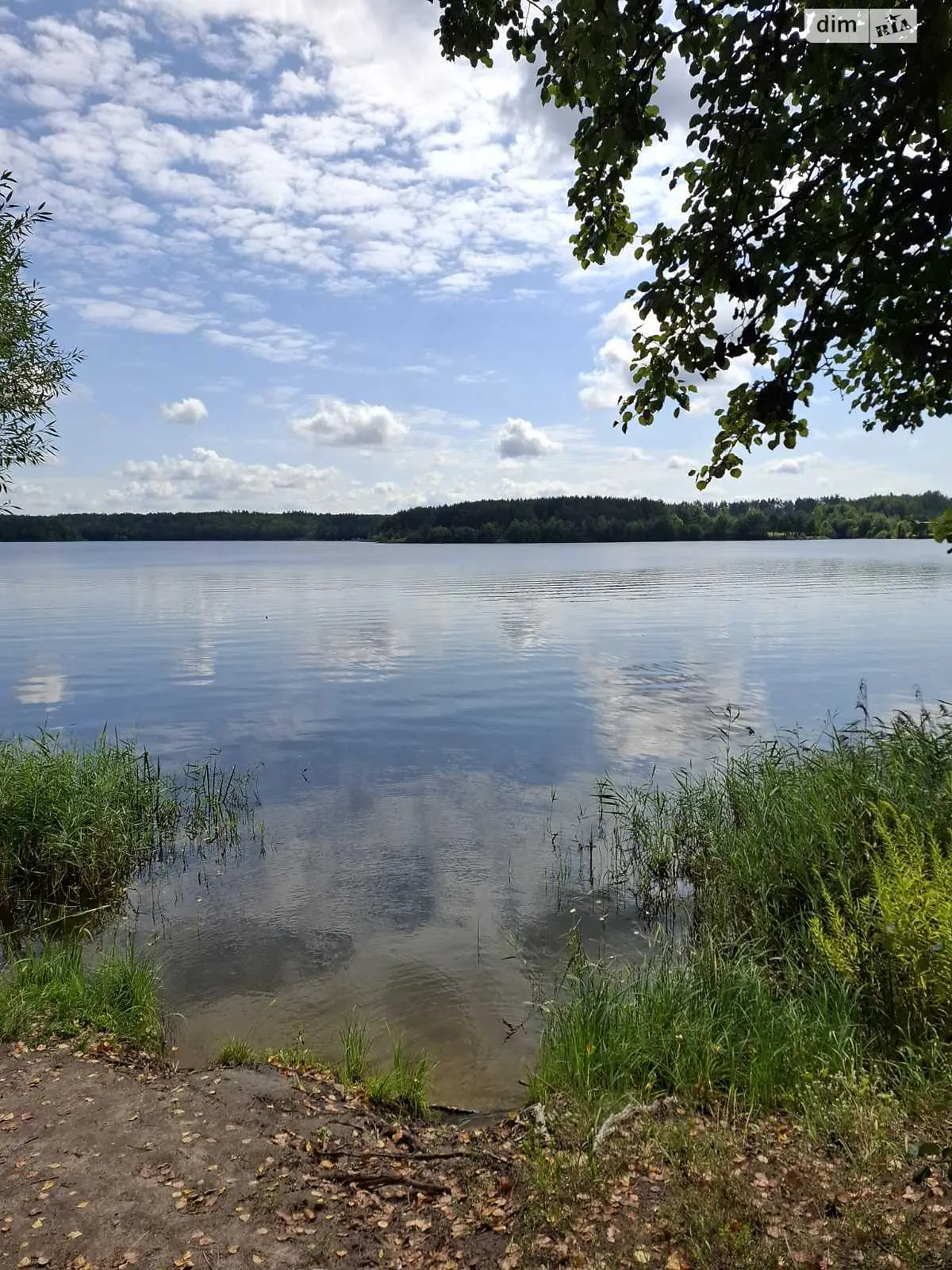 Продается земельный участок 29.4 соток в Житомирской области, цена: 25000 $ - фото 1