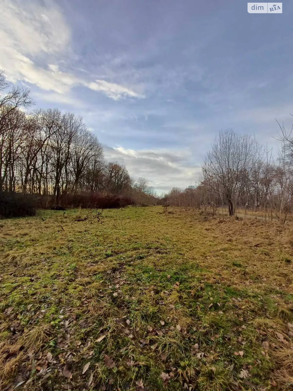 Продается земельный участок 24 соток в Львовской области, цена: 10000 $ - фото 1