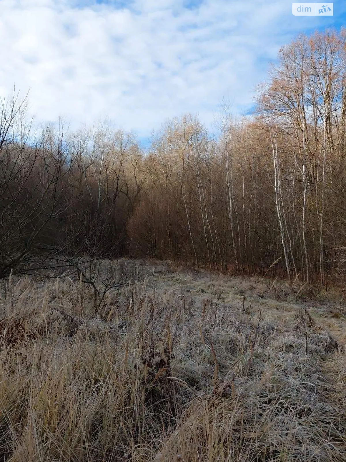 Сдается в аренду земельный участок 0.91 соток в области, цена: 4626 грн - фото 1