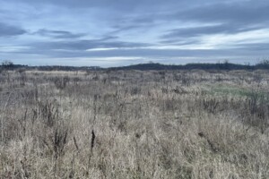Продаж ділянки під житлову забудову, Вінницька, Прибузьке (Шкуринці), Поляна масив