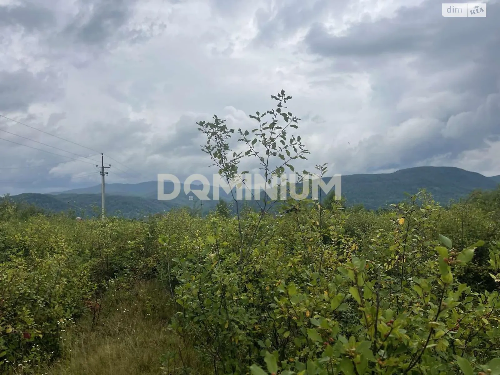 Продається земельна ділянка 10 соток у Закарпатській області, цена: 13000 $ - фото 1