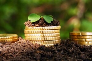 Куплю земельный участок в Ужгороде без посредников