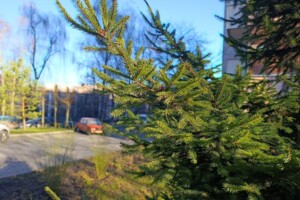 Продажа квартиры, Тернополь, р‑н. Канада, Чубинского Павла улица