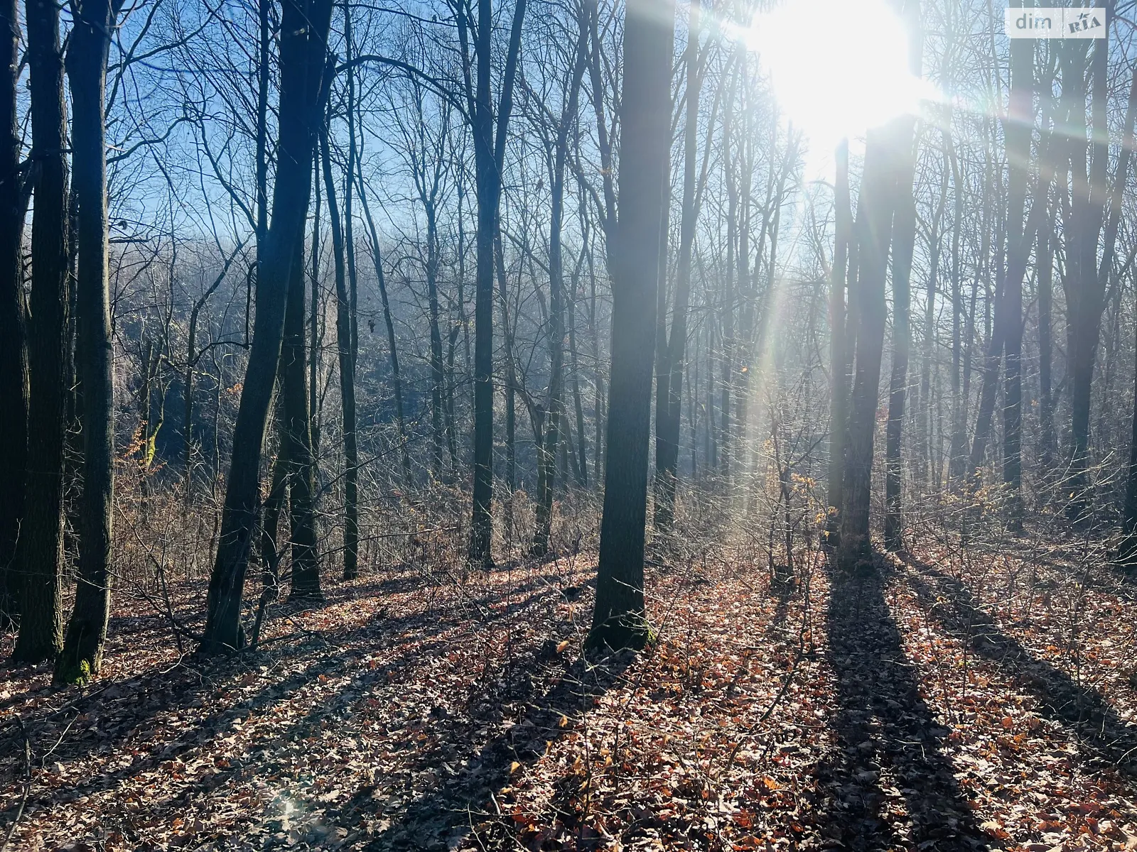 Продается земельный участок 30 соток в Винницкой области, цена: 33000 $ - фото 1