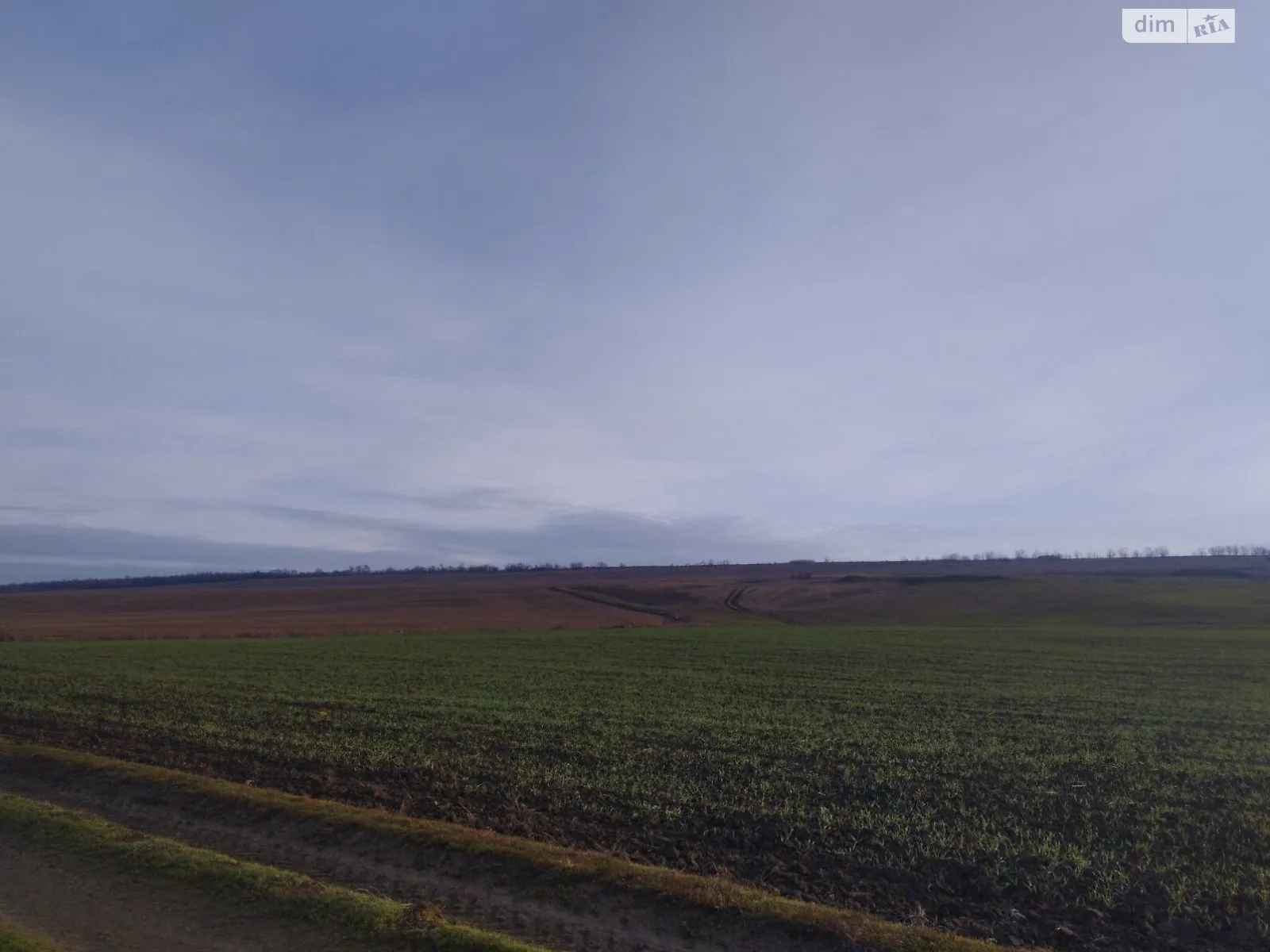 Надречное, цена: 64429 грн - фото 1