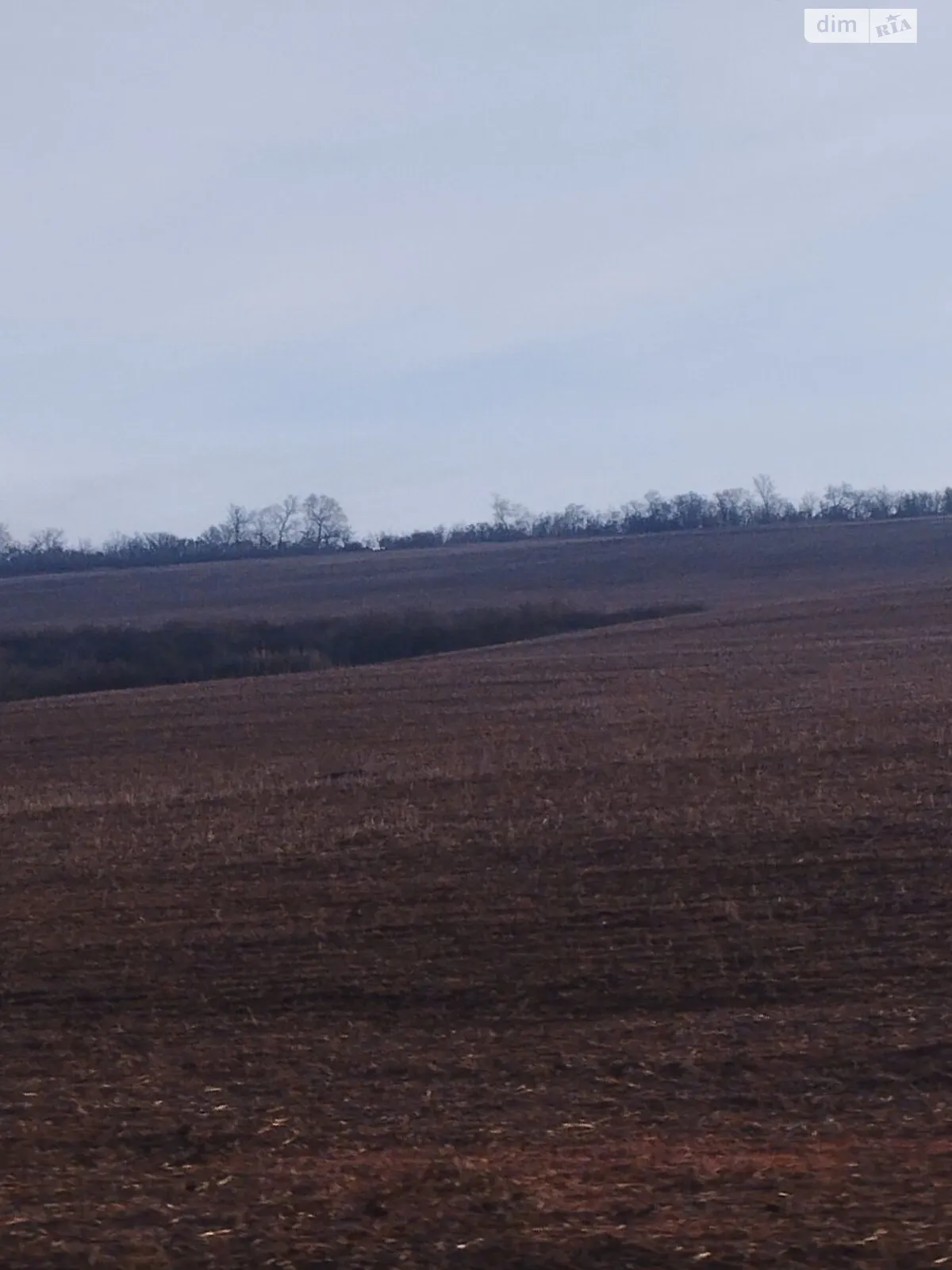 Сдается в аренду земельный участок 20 соток в Одесской области, цена: 61563 грн - фото 1