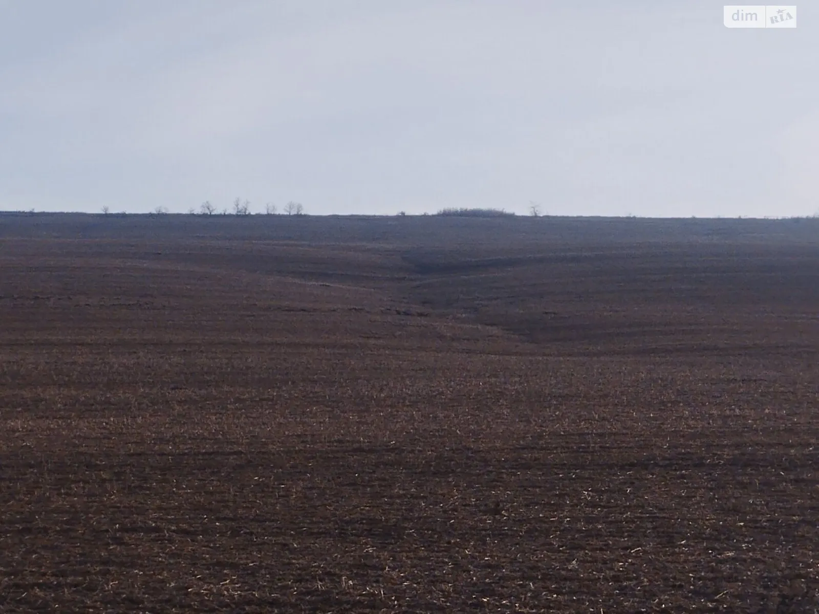 Надречное, цена: 55274 грн - фото 1