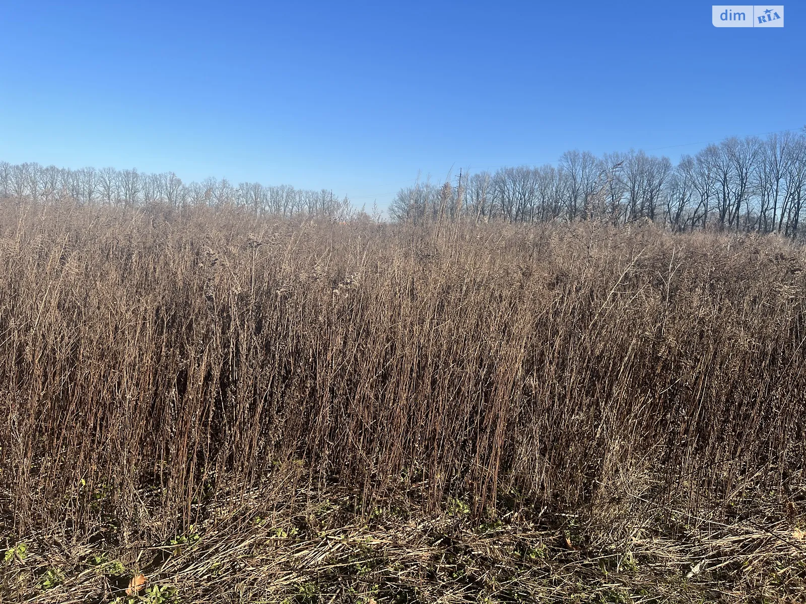 Продается земельный участок 6 соток в Винницкой области, цена: 12000 $ - фото 1