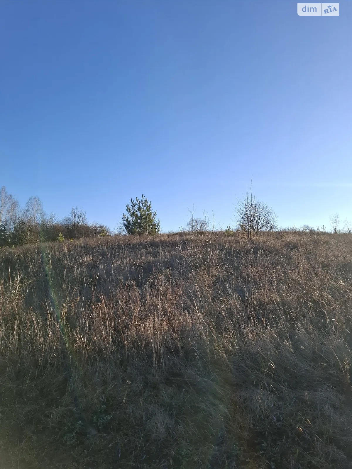 Продается земельный участок 17.14 соток в Винницкой области, цена: 13000 $ - фото 1